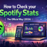 how to check shopify stats