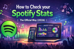 how to check shopify stats